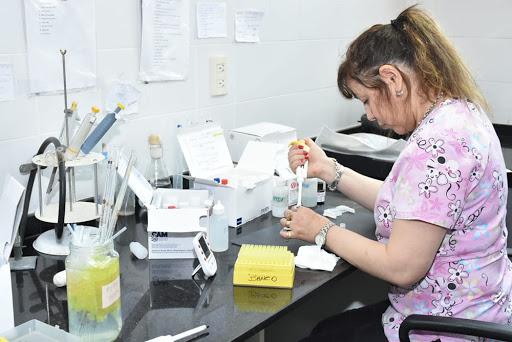 casos dengue