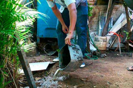 82304-aconsejan-fortalecer-las-medidas-preventivas-para-evitar-dengue-zika-y-chikungunya