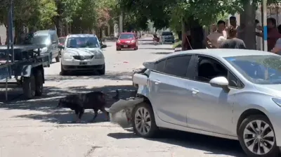 WhatsApp Video 2025-12-18 at 19.51.19