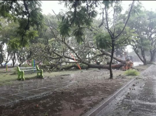 tormenta4