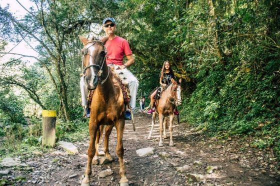 89210-salta-lidera-la-preferencia-de-turistas-en-el-primer-dia-de-venta-de-previaje-iv