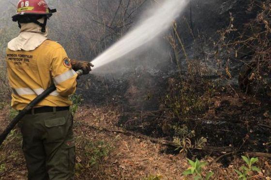 BOMBEROS TRABAJANDO