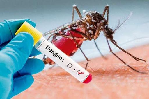 dengue positivo