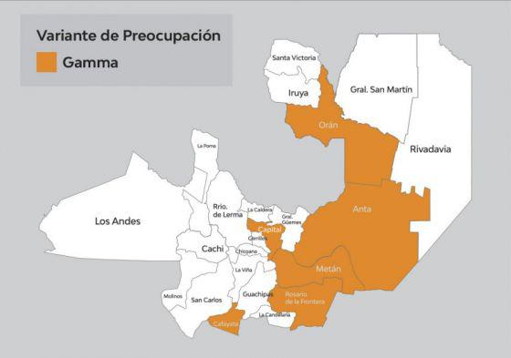 76773-en-la-provincia-hay-circulacion-comunitaria-de-la-variante-manaos-20210624170853