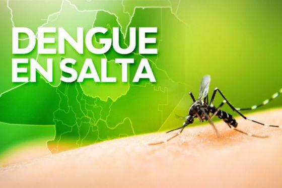 dengue en salta