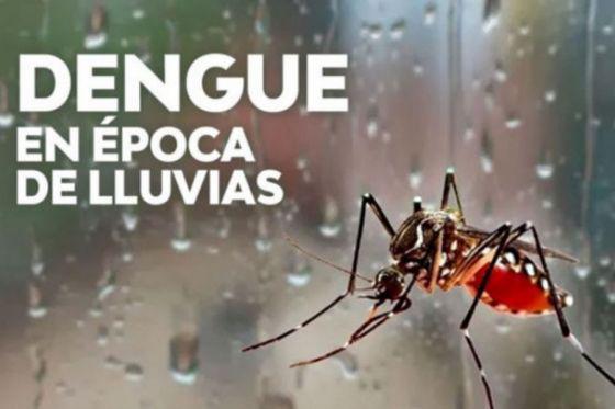 dengue