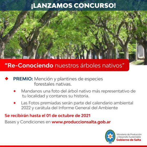 77966-concurso-fotografico-re-conociendo-nuestros-arboles-nativos