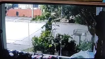 WhatsApp Video 2025-11-17 at 21.03.59