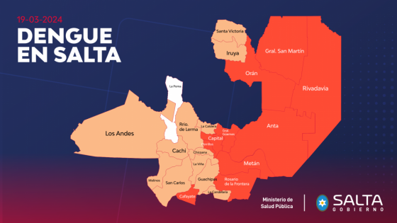 94707-en-la-ultima-semana-aumentaron-un-805-los-casos-de-dengue-en-salta