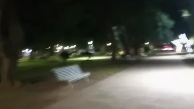 WhatsApp Video 2025-06-01 at 6.38.28 PM (1)