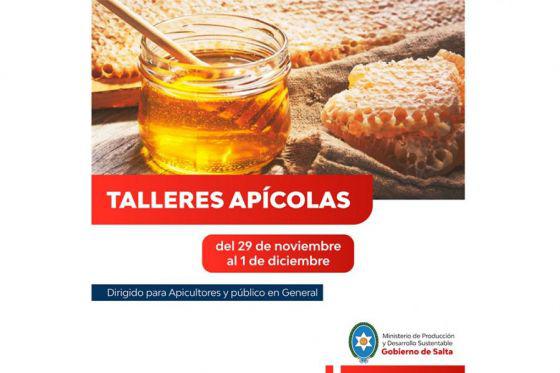 79334-productores-de-miel-podran-capacitarse-para-potenciar-sus-emprendimientos