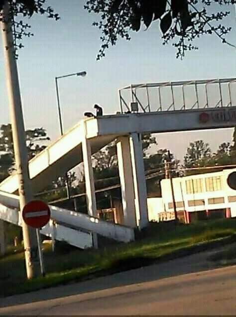 en la pasarela