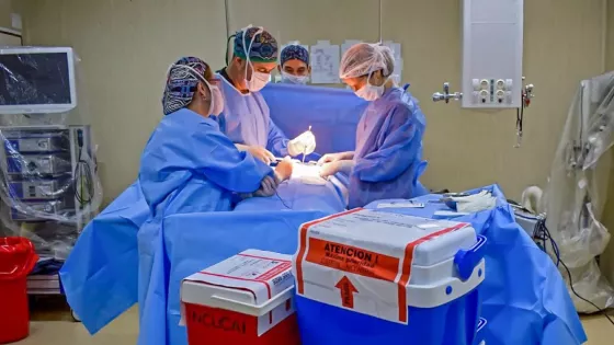 101692-se-concreto-un-nuevo-operativo-de-ablacion-multiorganica-en-salta