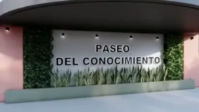 WhatsApp Video 2025-11-26 at 20.55.45