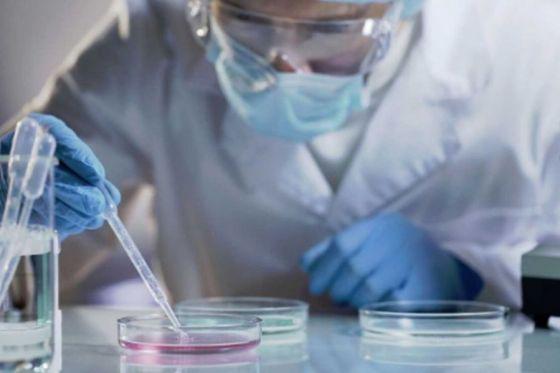 77760-en-salta-se-confirmaron-16-nuevos-casos-de-variantes-de-coronavirus