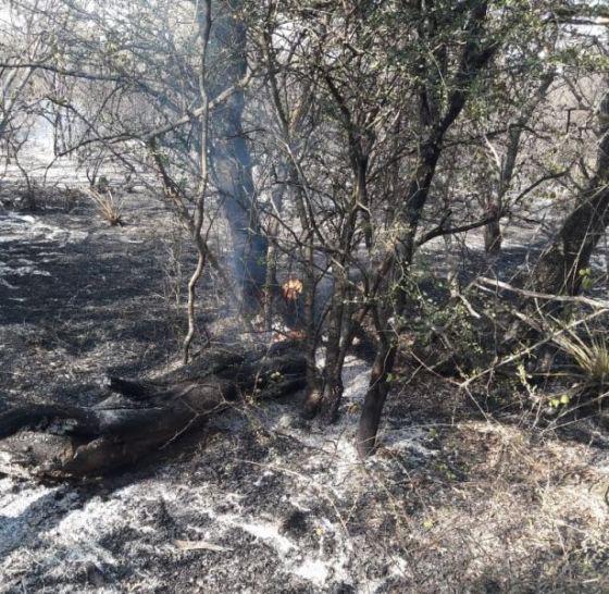 incendio en rivadavia