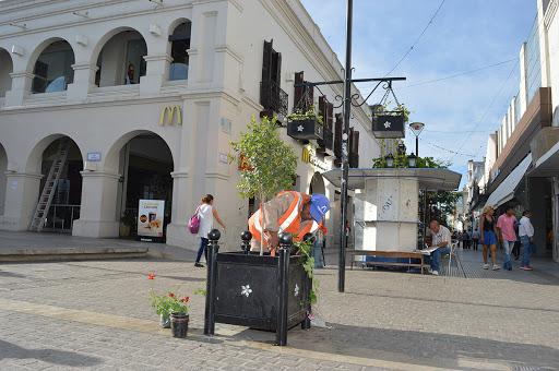 peatonal salta