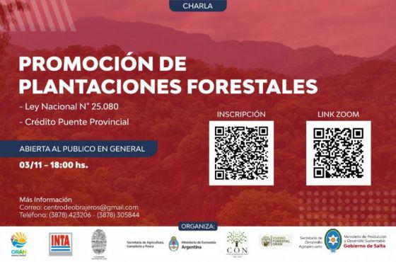 plantaciones forestales