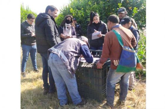 84127-se-asistio-a-70-trabajadores-en-situacion-de-explotacion-laboral