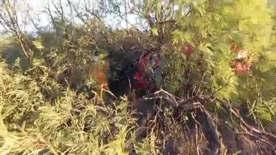 WhatsApp Video 2025-12-10 at 9.16.51 AM