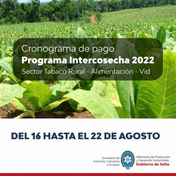 84106-el-programa-intercosecha-se-pagara-a-partir-del-16-de-agosto