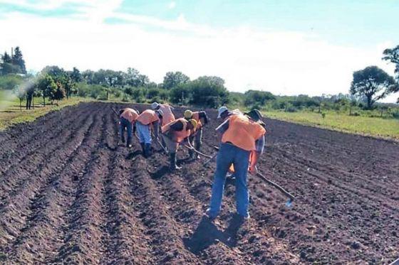 capacitacion internos
