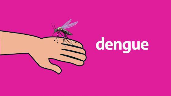 DENGUE TITULO