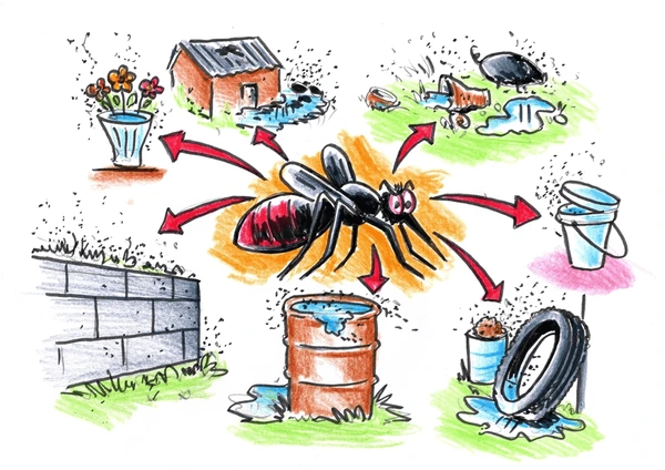 dengue-poster-drawing-color-painting-600nw-2175097163