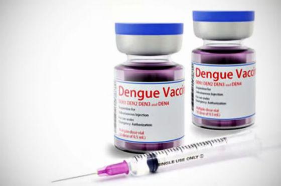 92740-el-gobierno-de-salta-comprara-300-mil-vacunas-contra-el-dengue