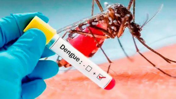 95852-durante-la-ultima-semana-se-notificaron-mas-de-350-casos-de-dengue