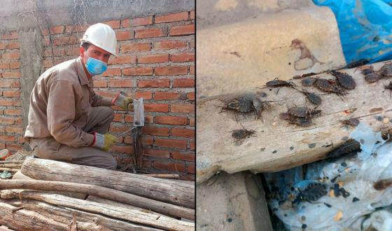 77782-la-eliminacion-de-la-enfermedad-de-chagas-es-un-objetivo-nacional