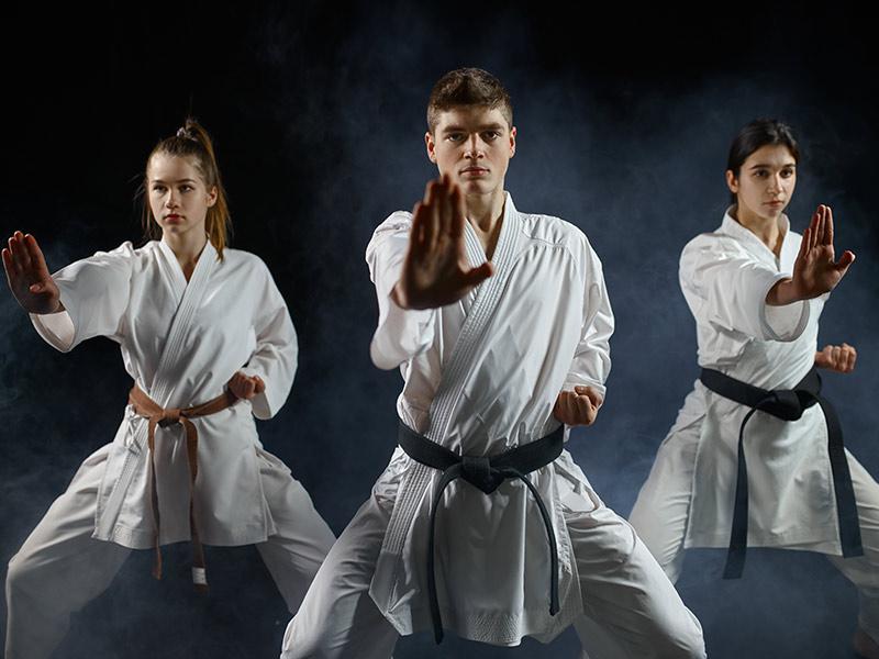 tipos-de-karate