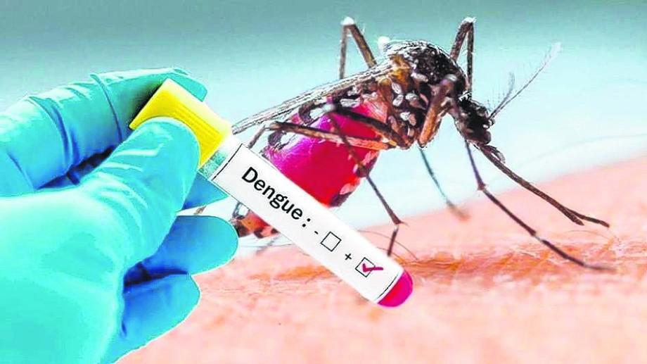 Imagen-dengue1