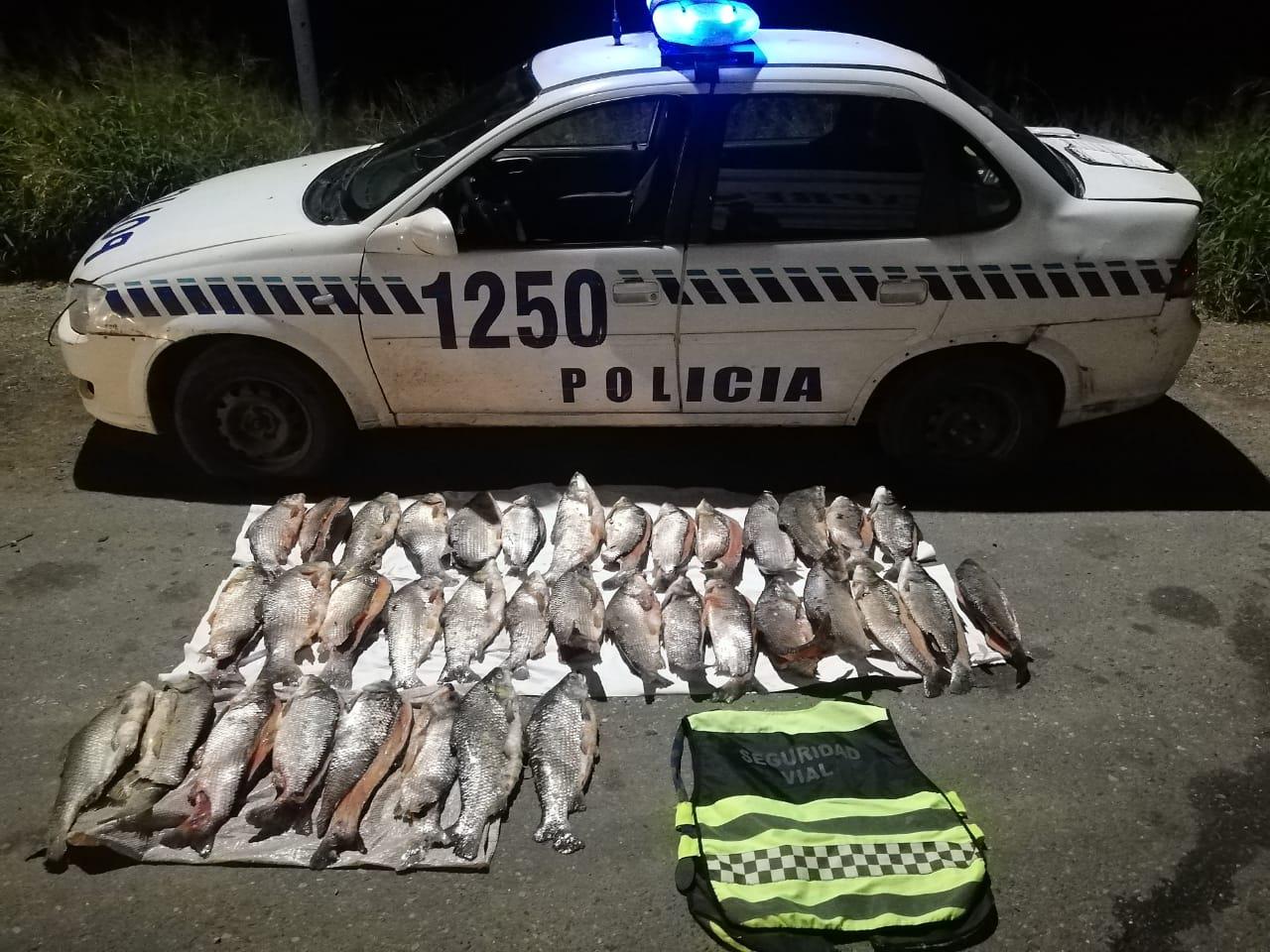 pesca ilegal