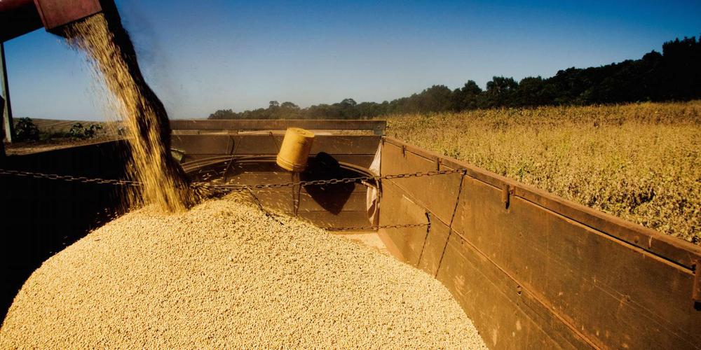 covid-19-soy-logistics-Brazil-Argentina-1440x720