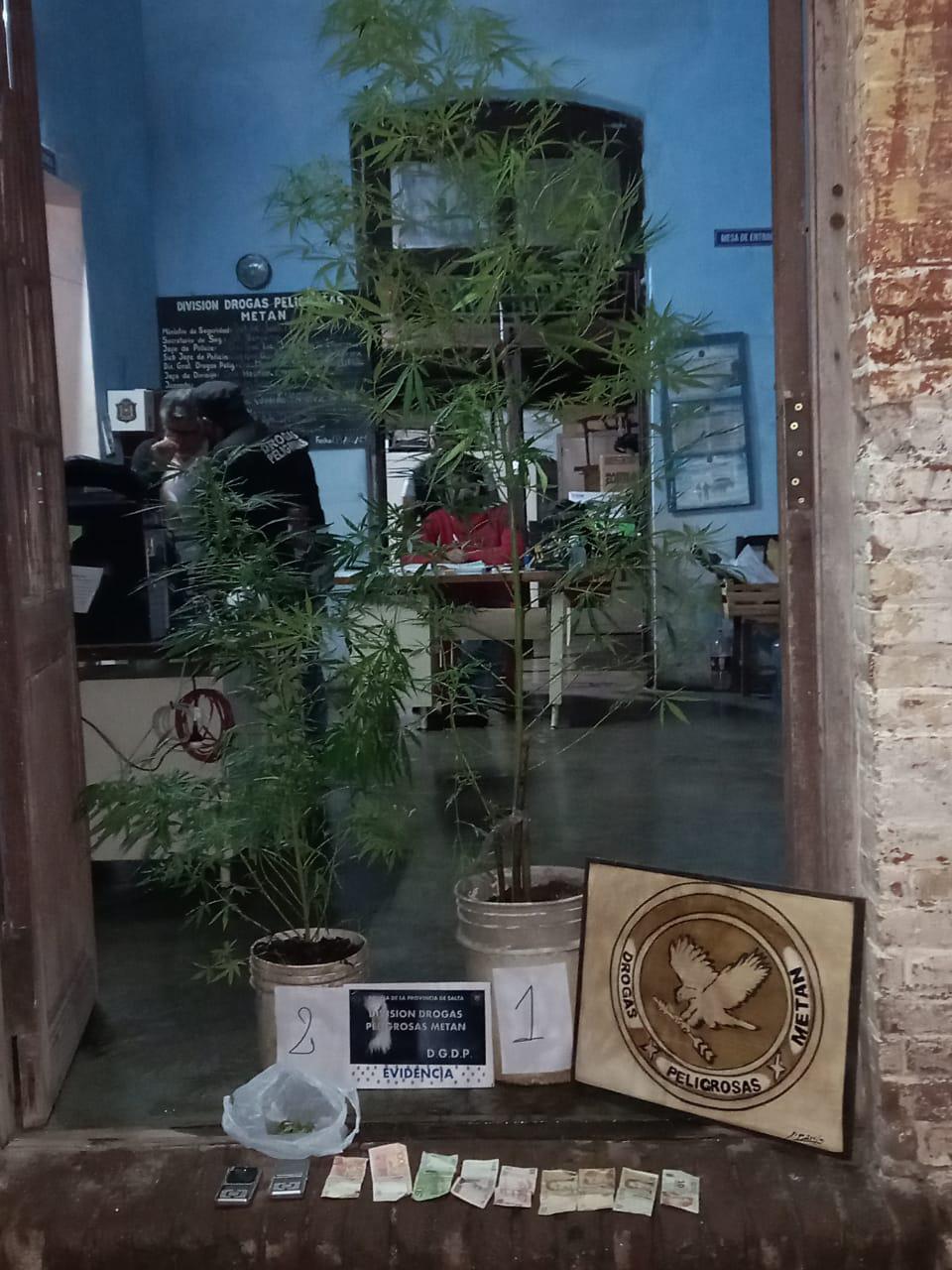PLACA MARIHUANA
