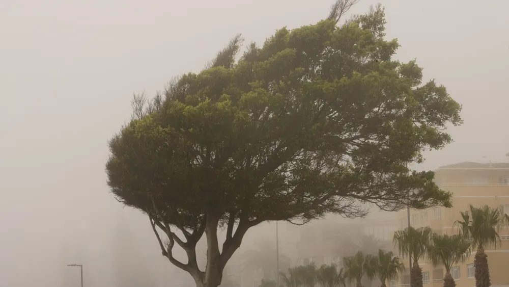 multimedia.grande.aec39806b9b121c7.Z3JhbmRlLndlYnA=