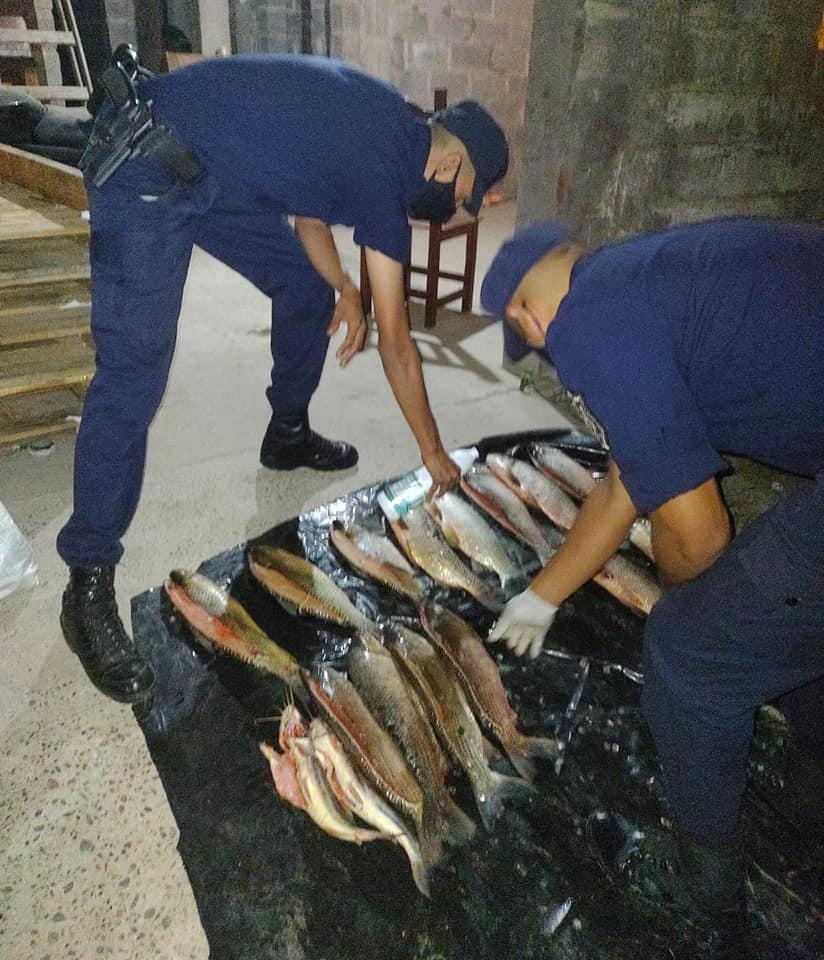 foto pescailegal