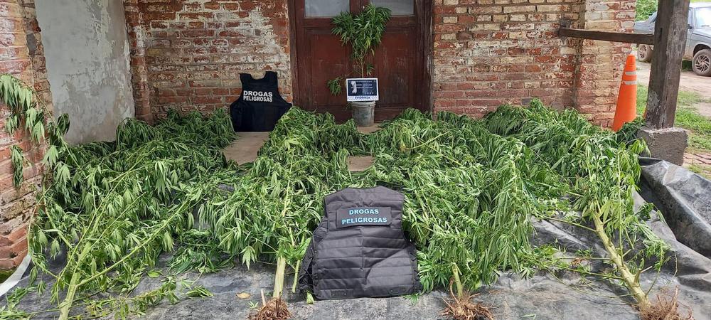 secuestro de drogas