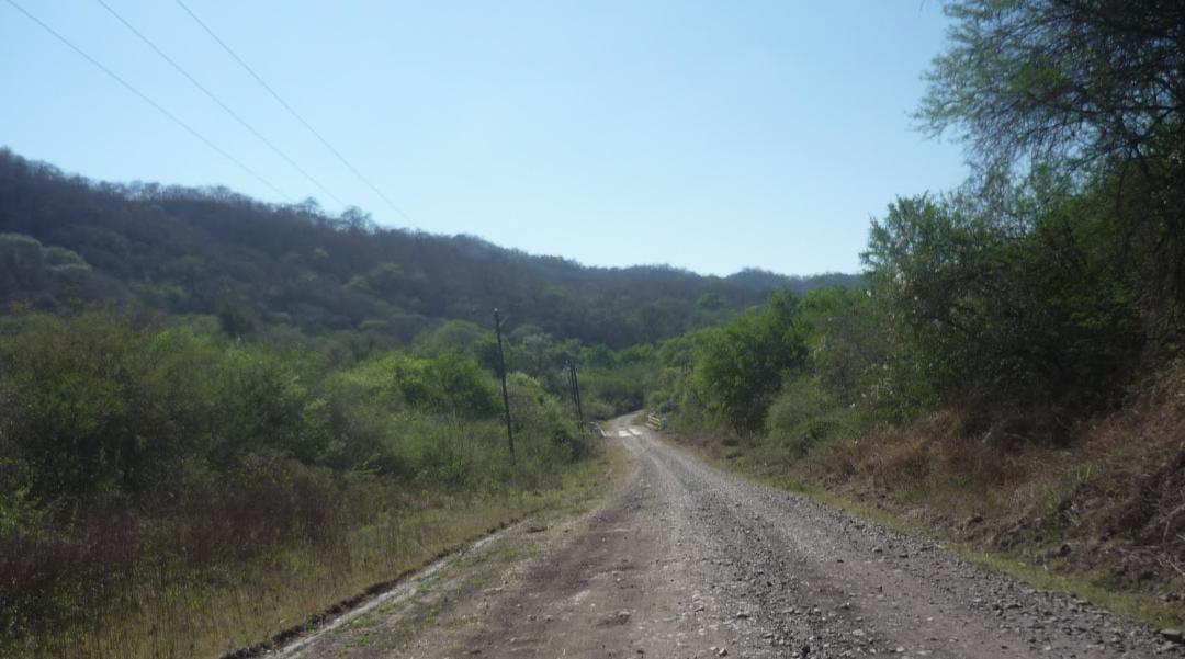 WhatsApp Image 2023-11-13 at 09.39.31