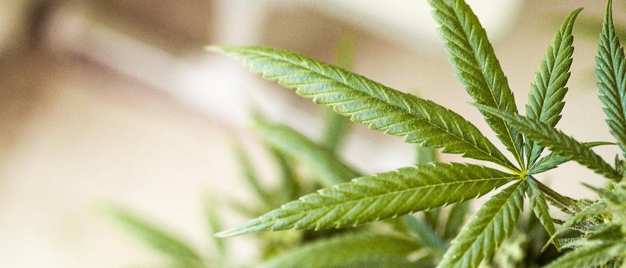 jumpstory-download20201202-233833-corte