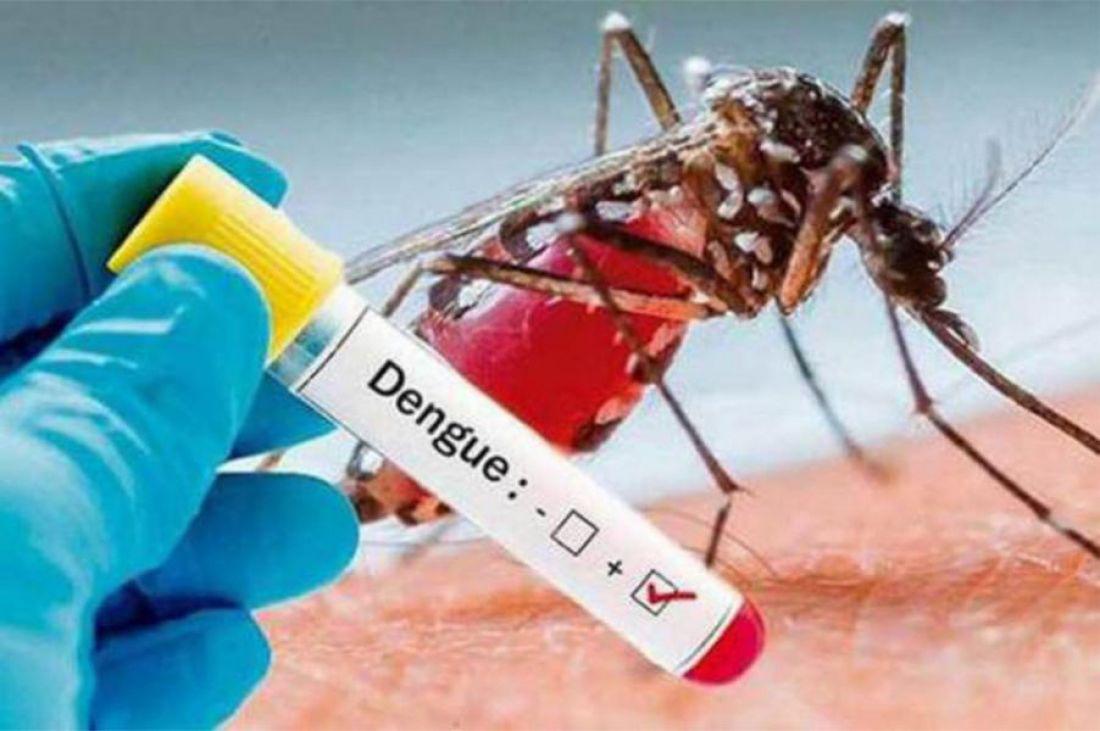 103424-dengue-ya-se-reportaron-156-casos-en-toda-la-provincia