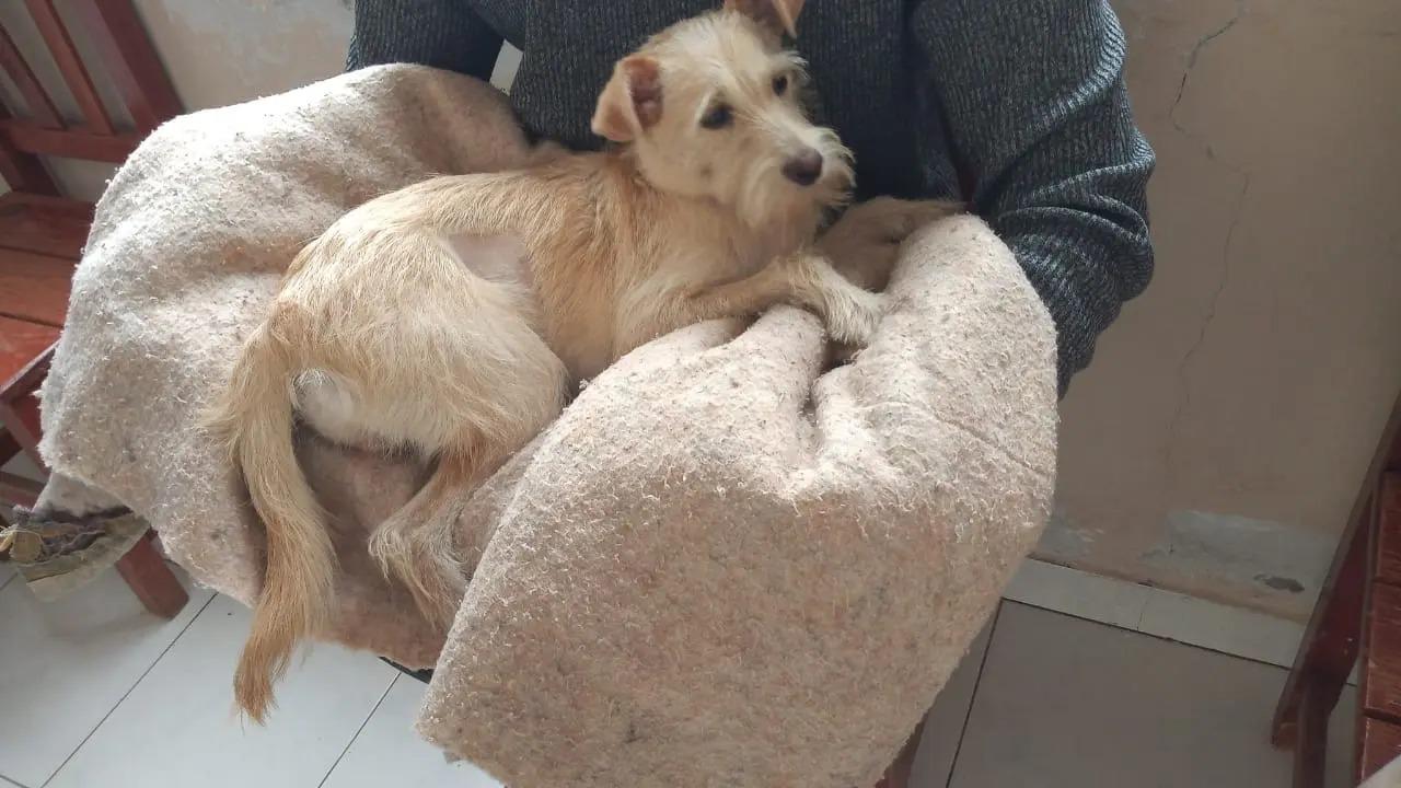 406248027_663207339331627_8345175217882226550_n