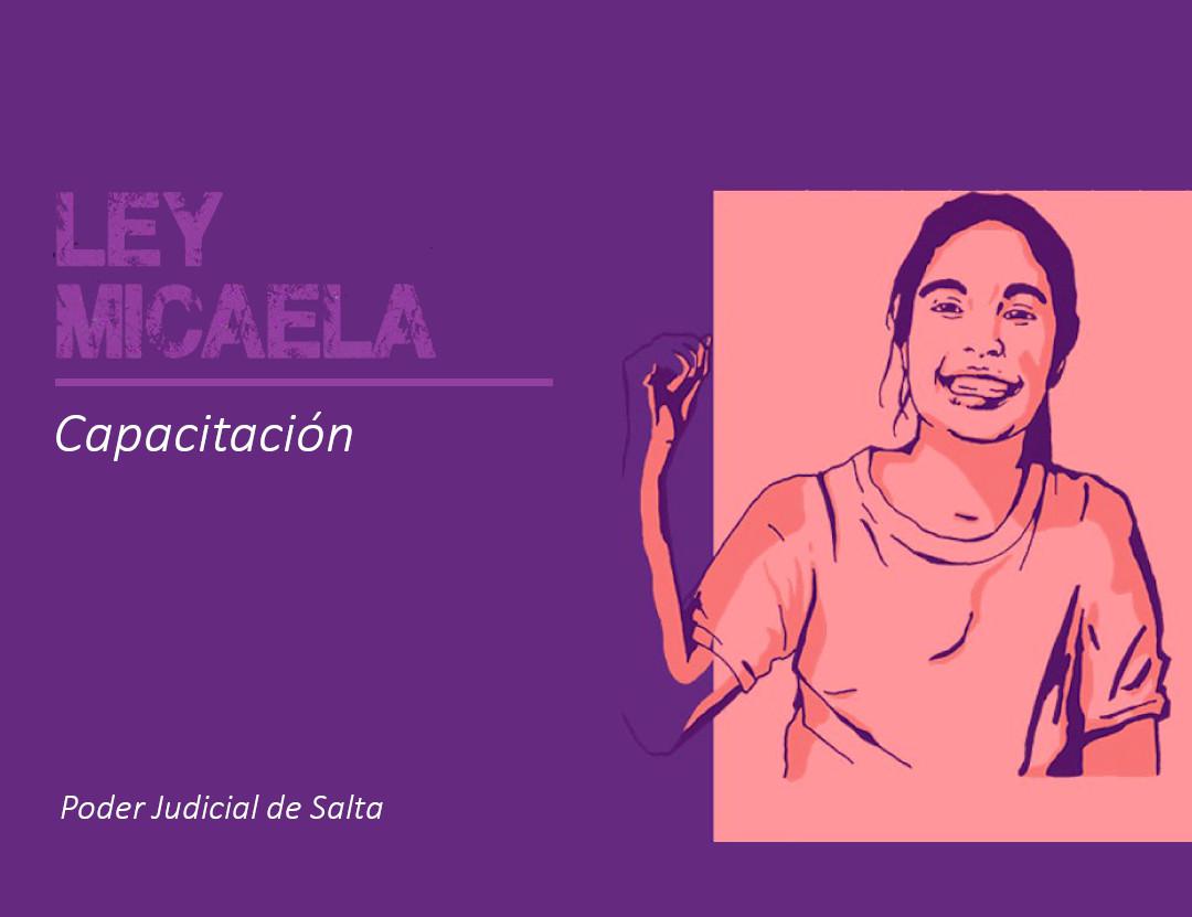 ley micaela