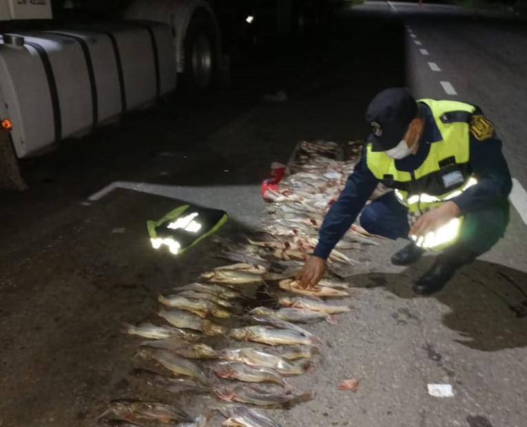 secuestraron peces