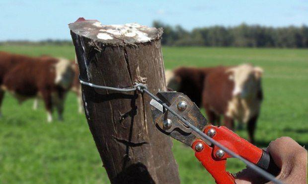 20170520124123_corte_alambre_robo_vaca823cf9d9eed71635