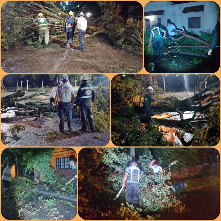 Polish_20240110_010122057