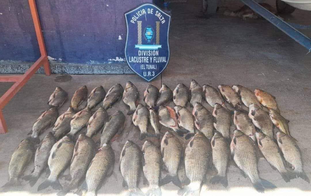 399642499_830883929039363_7091181804687526664_n