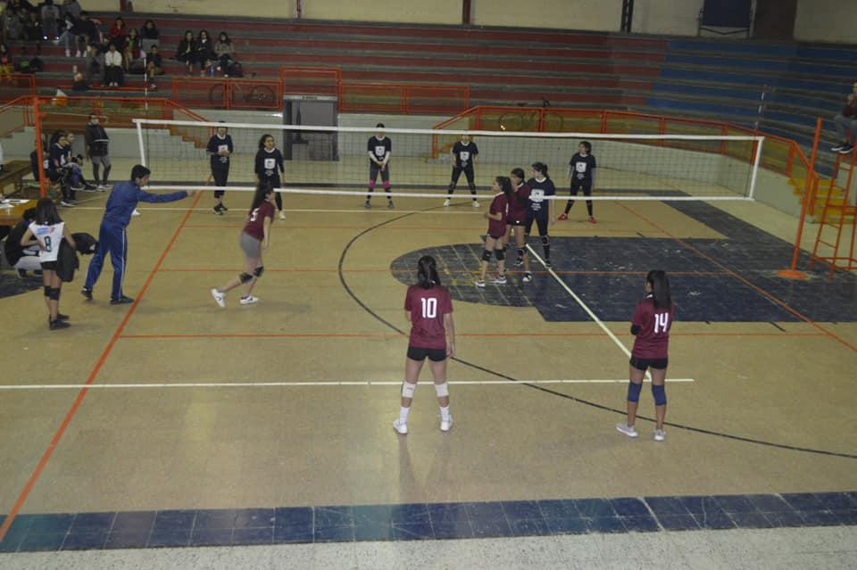 zonal de voley