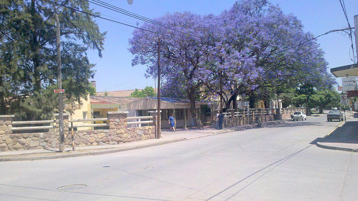 Hospital_del_Carmen_-_San_José_de_Metan_-_Metan_-_panoramio_(2)